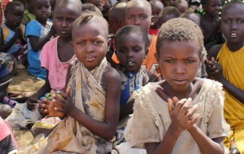 Světová potravinová krize