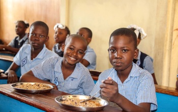 Krize na Haiti, souhrn