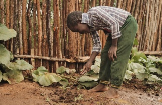 Zimbabwe, Mary’s Meals