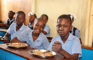Krize na Haiti, souhrn