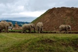 Mary’s Meals, Zoo Zlín