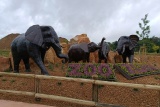 Mary’s Meals, Zoo Zlín