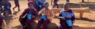 Noku, Zimbabwe
