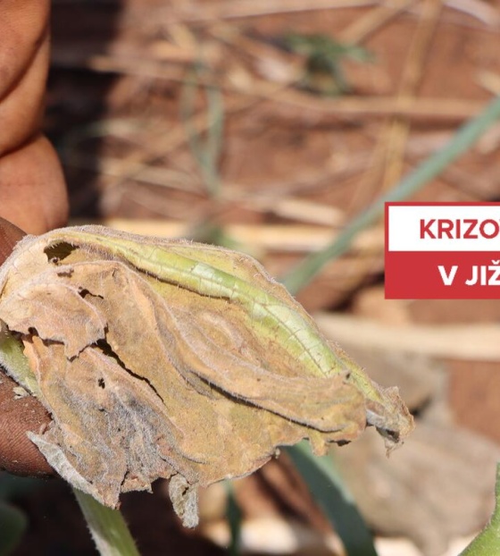 Krizová siruace v jižní Africe