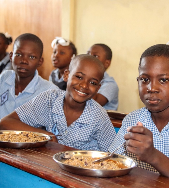 Krize na Haiti, souhrn