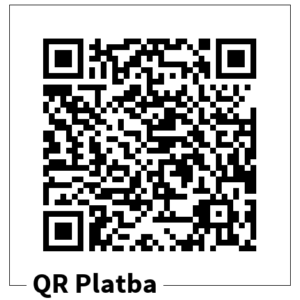 QR kód, obecný