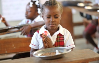 Krize na Haiti, souhrn