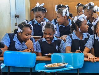 Krize na Haiti, souhrn